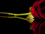 Stussy 220614 1025 Nora